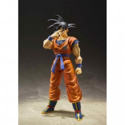 S.H.Figuarts Dragon Ball :...