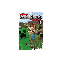 Minecraft nº1